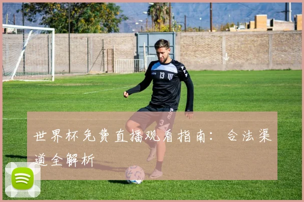 世界杯免费直播观看指南：合法渠道全解析