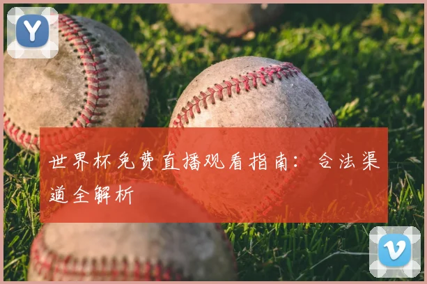 世界杯免费直播观看指南：合法渠道全解析